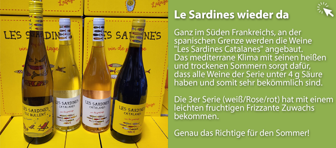 NewsletterArtikel