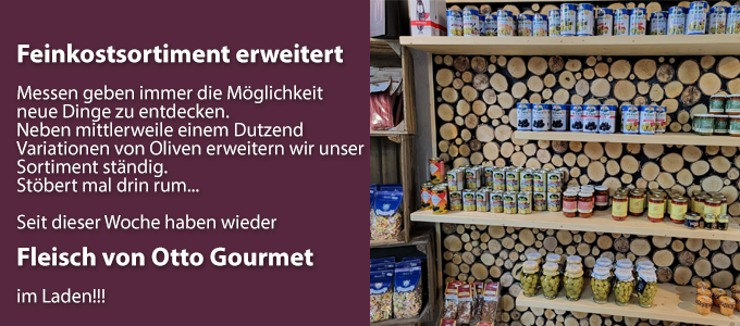 NewsletterArtikel