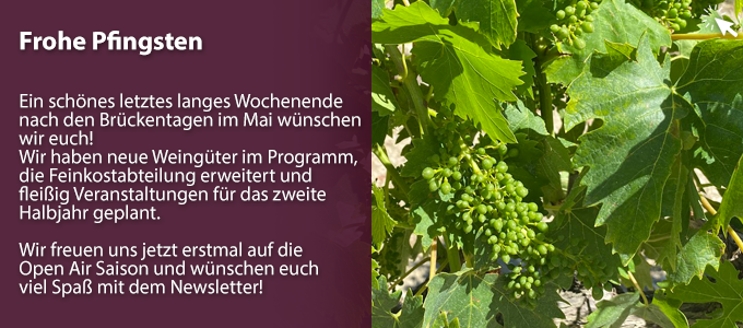 Newsletterartikel