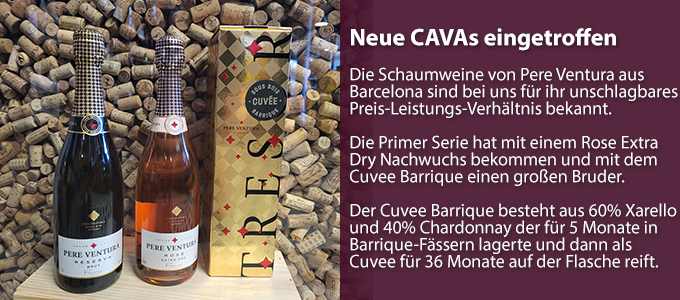 NewsletterArtikel