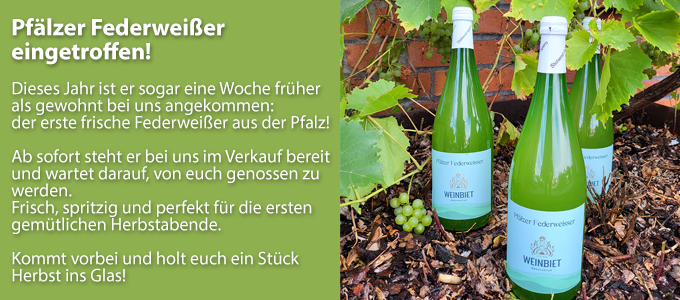 NewsletterArtikel