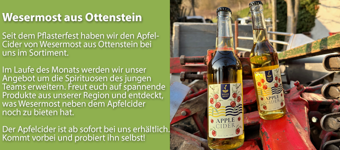 NewsletterArtikel