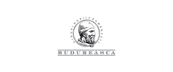 Logo buduresca